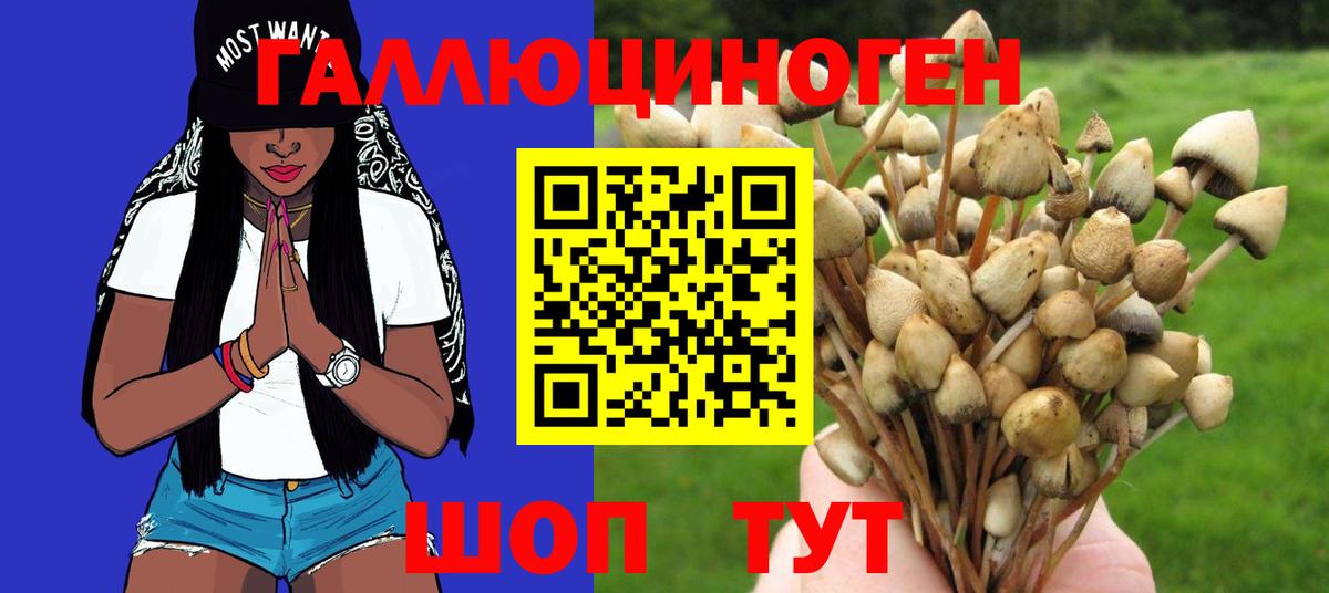 Псилоцибиновые грибы Psilocybine cubensis Корсаков