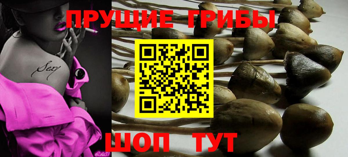 Корсаков  Псилоцибиновые грибы GOLDEN TEACHER  Вход с VPN 
