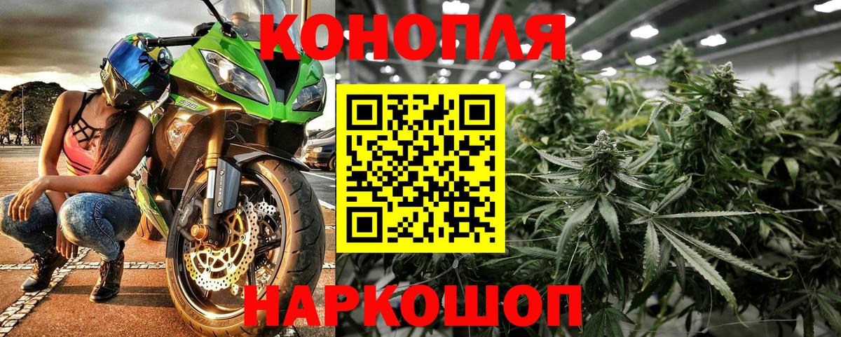 Канабис сатива Корсаков